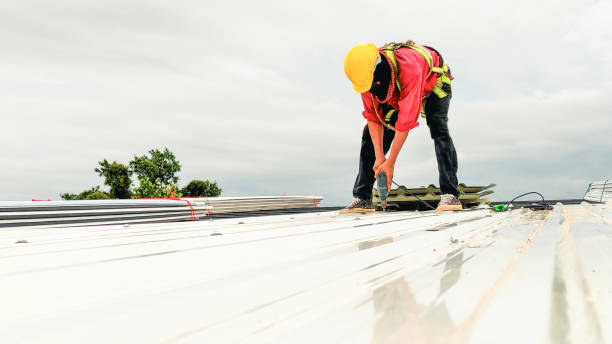 Steel Roofing in Alma, AR